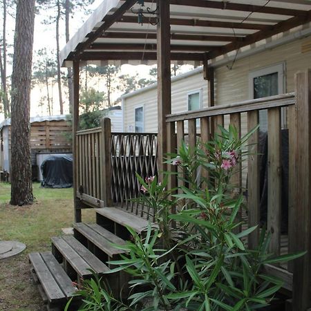 Mobil-Home Spatieux 8Pers - Brume Saint-Julien-en-Born Exteriör bild
