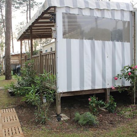 Mobil-Home Spatieux 8Pers - Brume Saint-Julien-en-Born Exteriör bild